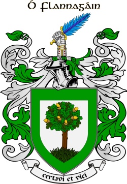 O'FLANAGAN family crest O'FLANAGAN family crest
