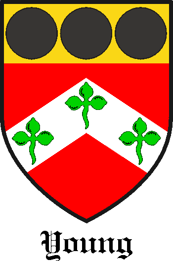 young family crest